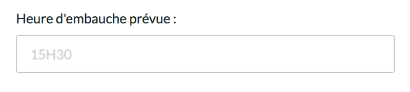 Fichier:Placeholder exemple sur textinput.png