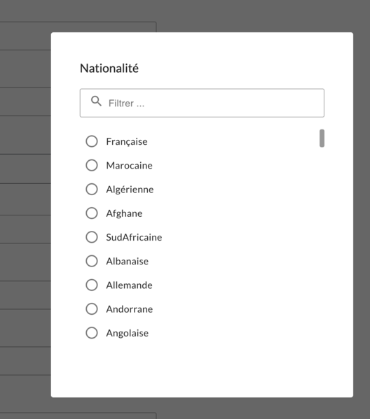 Fichier:Exemple d'une choices modal.png